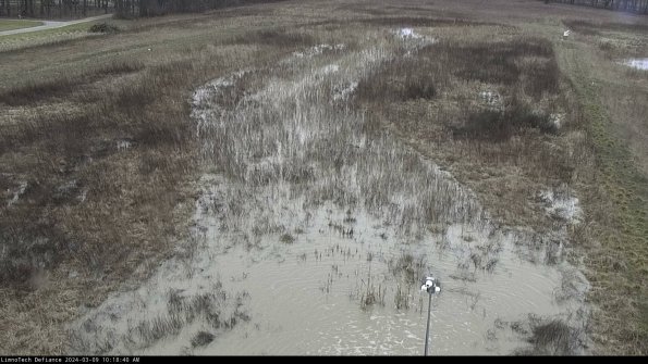 Cell 1_24-03-09_10-18-41-15