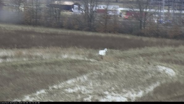 Cell 2 to 3_24-03-09_10-19-21-29