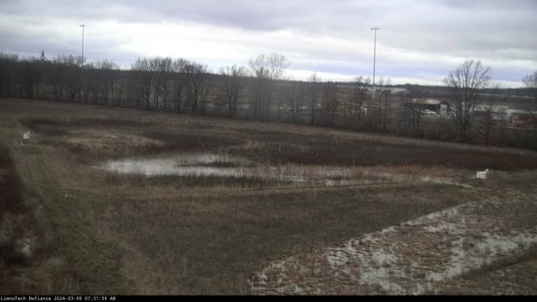 Cell 2_24-03-09_07-31-40-17