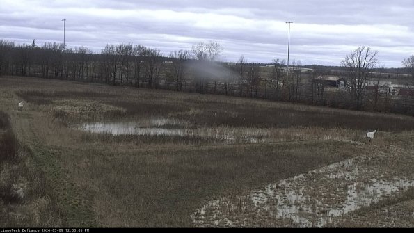 Cell 2_24-03-09_12-33-06-18