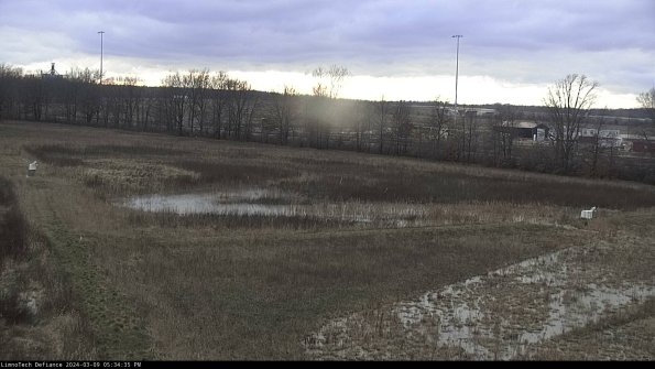 Cell 2_24-03-09_17-34-36-15