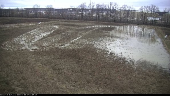 Cell 3_24-03-09_07-32-08-13