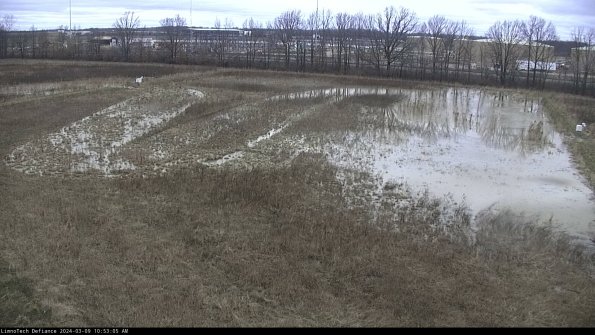 Cell 3_24-03-09_10-53-06-12