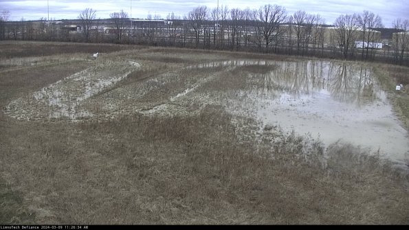 Cell 3_24-03-09_11-26-35-14