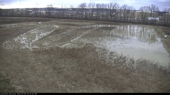 Cell 3_24-03-09_17-35-03-38