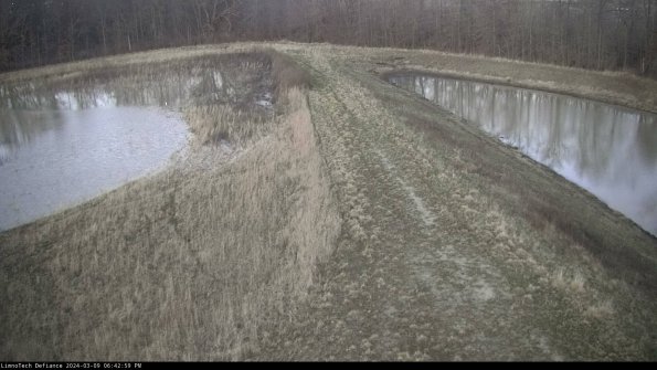 Cell 4 to Basin_24-03-09_18-43-00-13