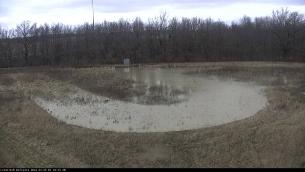 Cell 4_24-03-09_09-46-35-12