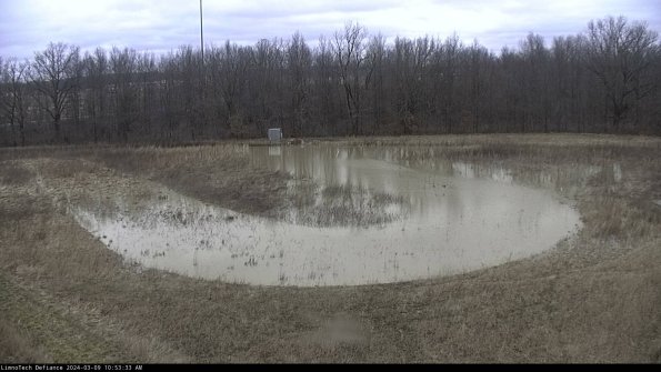 Cell 4_24-03-09_10-53-34-12