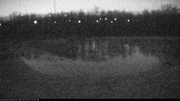 Cell 4_24-03-09_19-16-00-15