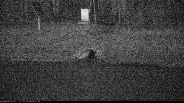 Basin Inflow_24-03-10_20-17-12-35