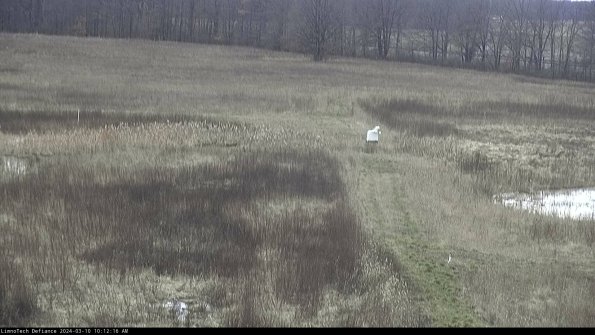 Cell 1 to 2_24-03-10_10-12-17-13