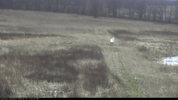 Cell 1 to 2_24-03-10_12-26-17-12