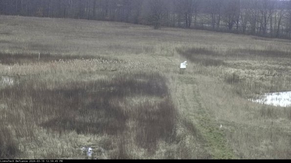 Cell 1 to 2_24-03-10_12-59-46-13