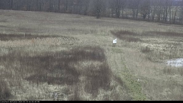 Cell 1 to 2_24-03-10_14-06-45-13