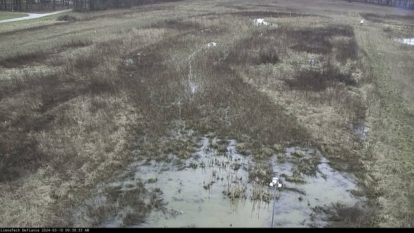 Cell 1_24-03-10_09-38-34-14