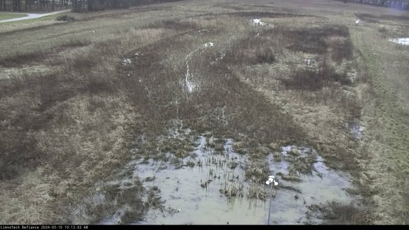 Cell 1_24-03-10_10-12-03-11