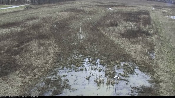 Cell 1_24-03-10_10-45-34-13