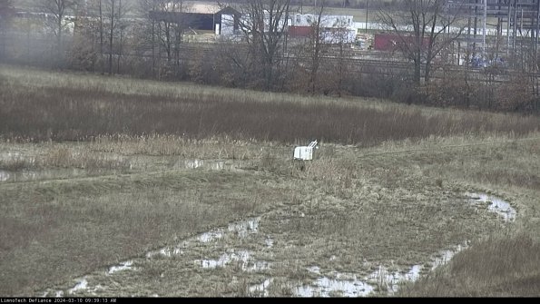 Cell 2 to 3_24-03-10_09-39-14-38