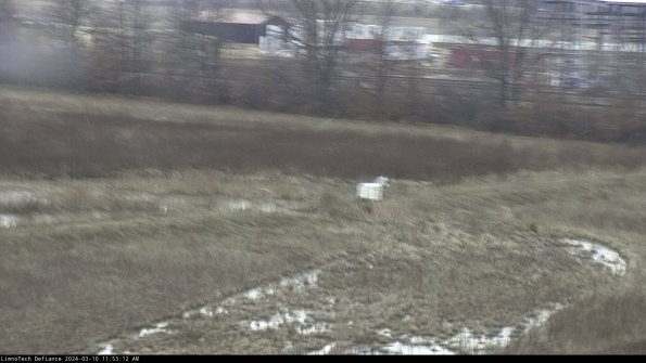 Cell 2 to 3_24-03-10_11-53-13-26