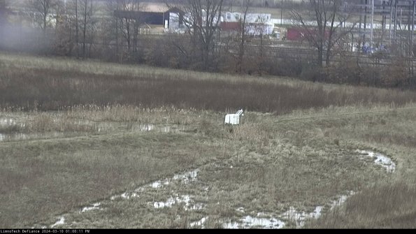 Cell 2 to 3_24-03-10_13-00-12-29