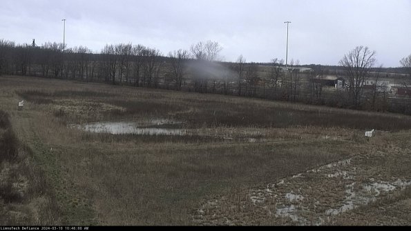 Cell 2_24-03-10_10-46-01-16