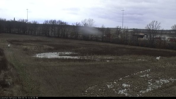 Cell 2_24-03-10_12-59-59-18