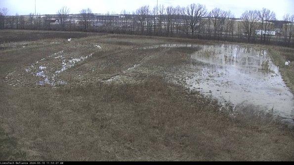 Cell 3_24-03-10_11-53-28-11