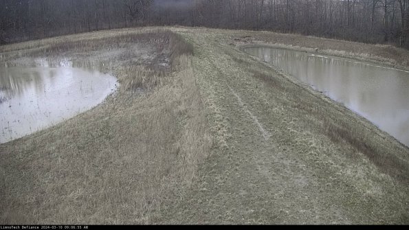 Cell 4 to Basin_24-03-10_09-06-56-13