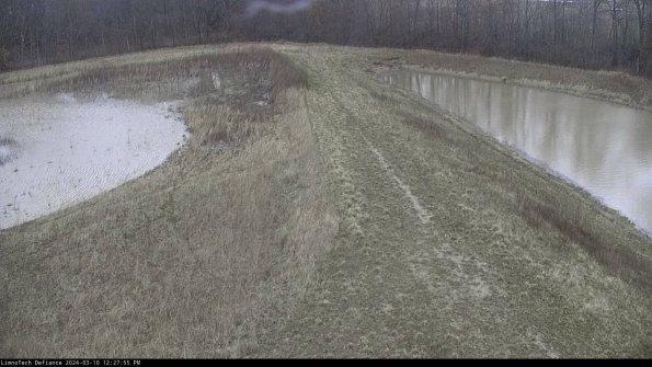 Cell 4 to Basin_24-03-10_12-27-56-15