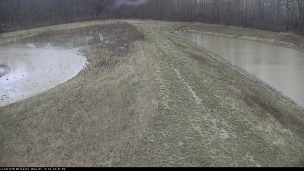 Cell 4 to Basin_24-03-10_14-08-24-16