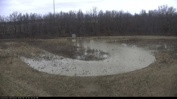 Cell 4_24-03-10_13-34-25-12