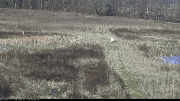 Cell 1 to 2_24-03-11_09-39-04-11