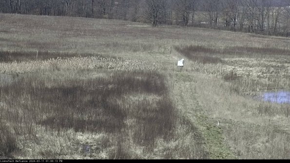 Cell 1 to 2_24-03-11_13-00-14-13