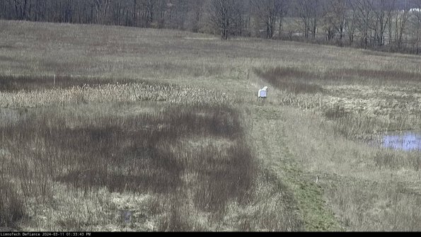 Cell 1 to 2_24-03-11_13-33-44-12