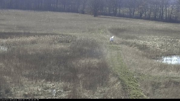 Cell 1 to 2_24-03-11_17-28-10-15