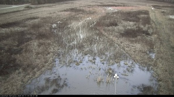 Cell 1_24-03-11_07-58-22-13