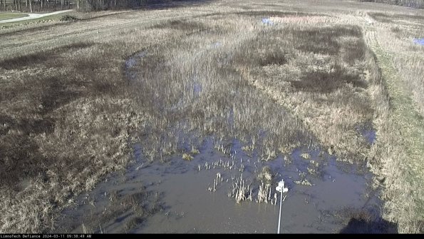 Cell 1_24-03-11_09-38-50-13