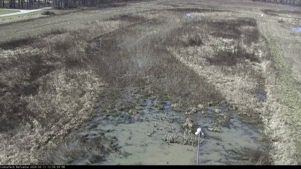 Cell 1_24-03-11_13-00-00-12