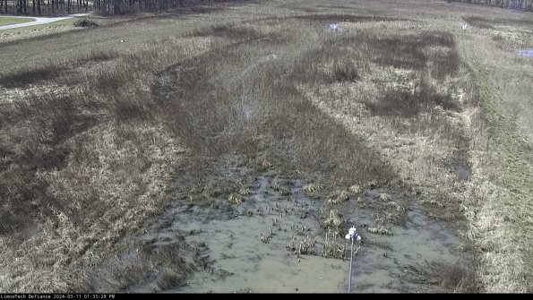 Cell 1_24-03-11_13-33-30-14