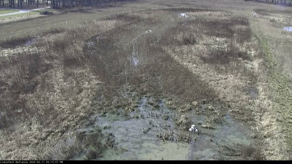 Cell 1_24-03-11_15-13-58-12