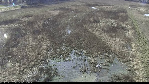 Cell 1_24-03-11_16-20-57-13