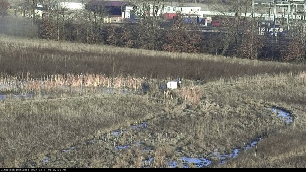 Cell 2 to 3_24-03-11_08-32-31-25