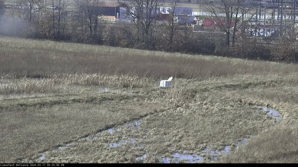 Cell 2 to 3_24-03-11_16-55-07-16