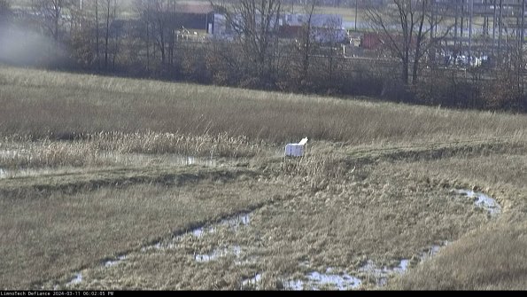 Cell 2 to 3_24-03-11_18-02-06-16