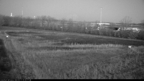 Cell 2_24-03-11_07-25-18-34