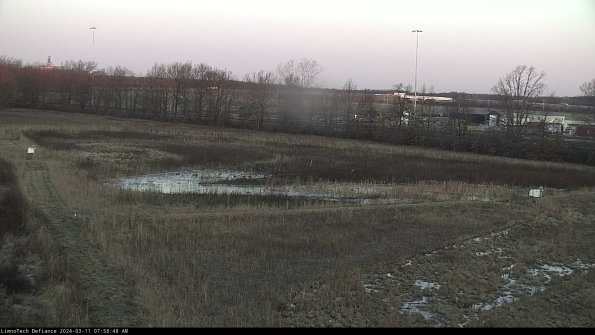 Cell 2_24-03-11_07-58-49-19