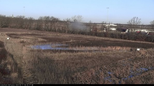 Cell 2_24-03-11_08-32-18-17