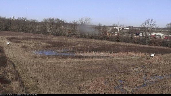 Cell 2_24-03-11_09-39-17-16