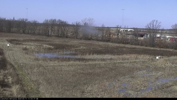 Cell 2_24-03-11_11-53-18-17