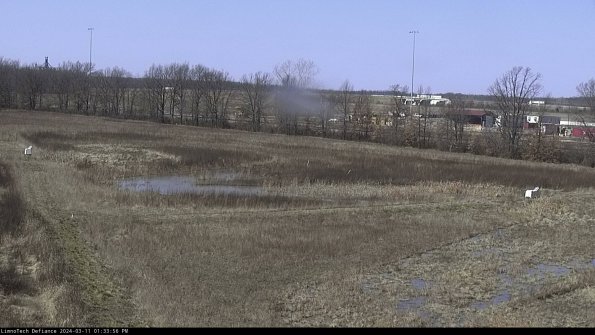 Cell 2_24-03-11_13-33-57-20